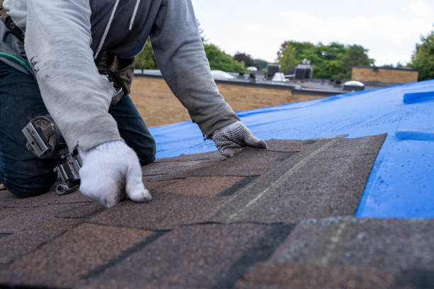 Best Commercial Roofing Services  in Meadow Vista, CA